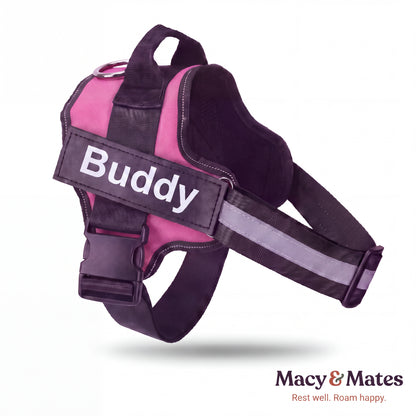 Easy Roamer No-Pull Harness