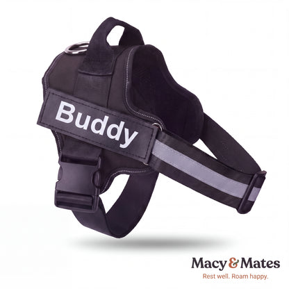 Easy Roamer No-Pull Harness
