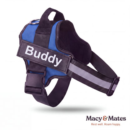 Easy Roamer No-Pull Harness