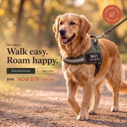 Easy Roamer No-Pull Harness