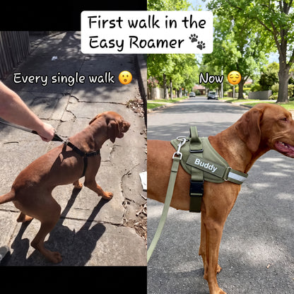 Easy Roamer No-Pull Harness